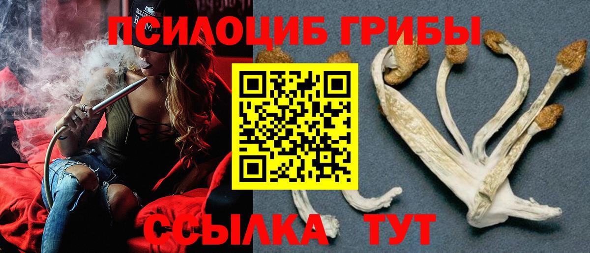 Псилоцибиновые грибы ЛСД Можга