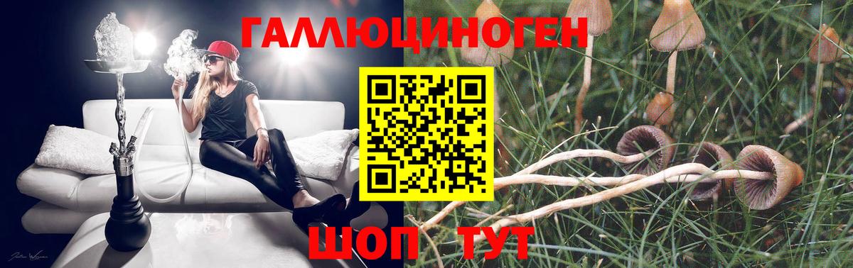 Галлюциногенные грибы мицелий  Вход с VPN  Можга 