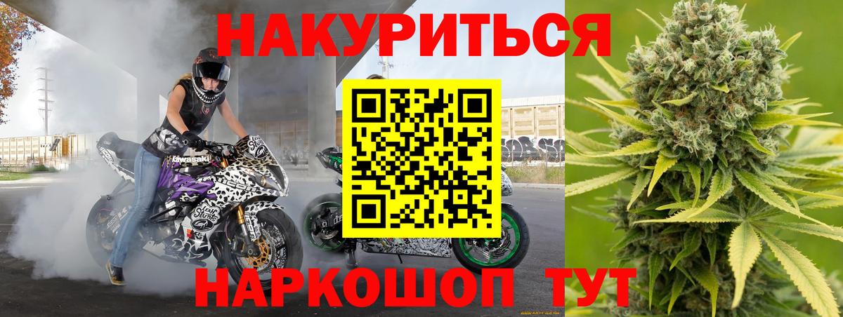 Можга  Бошки марихуана White Widow  Канабис планчик  Бошки марихуана конопля  Вход с VPN 